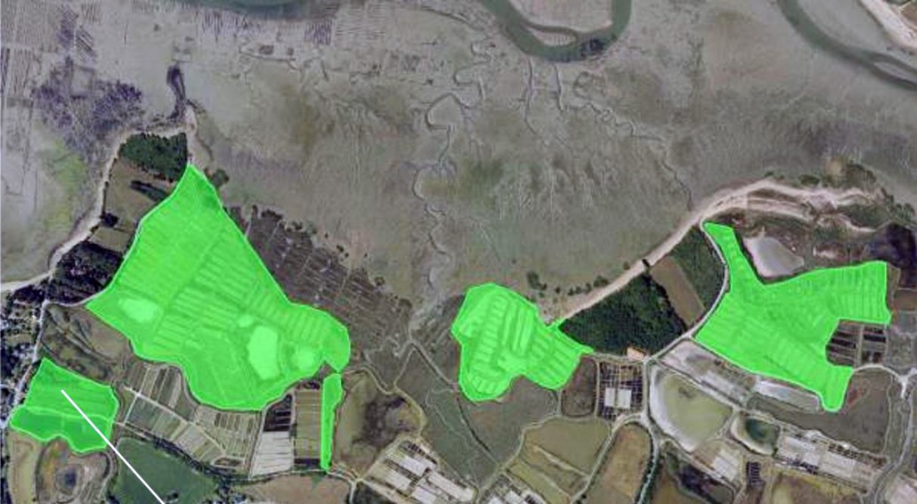 Zones de traitement du Baccharis en 2015